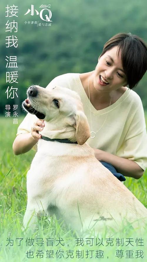 光大银行ATM机转账凭条怎么买假的